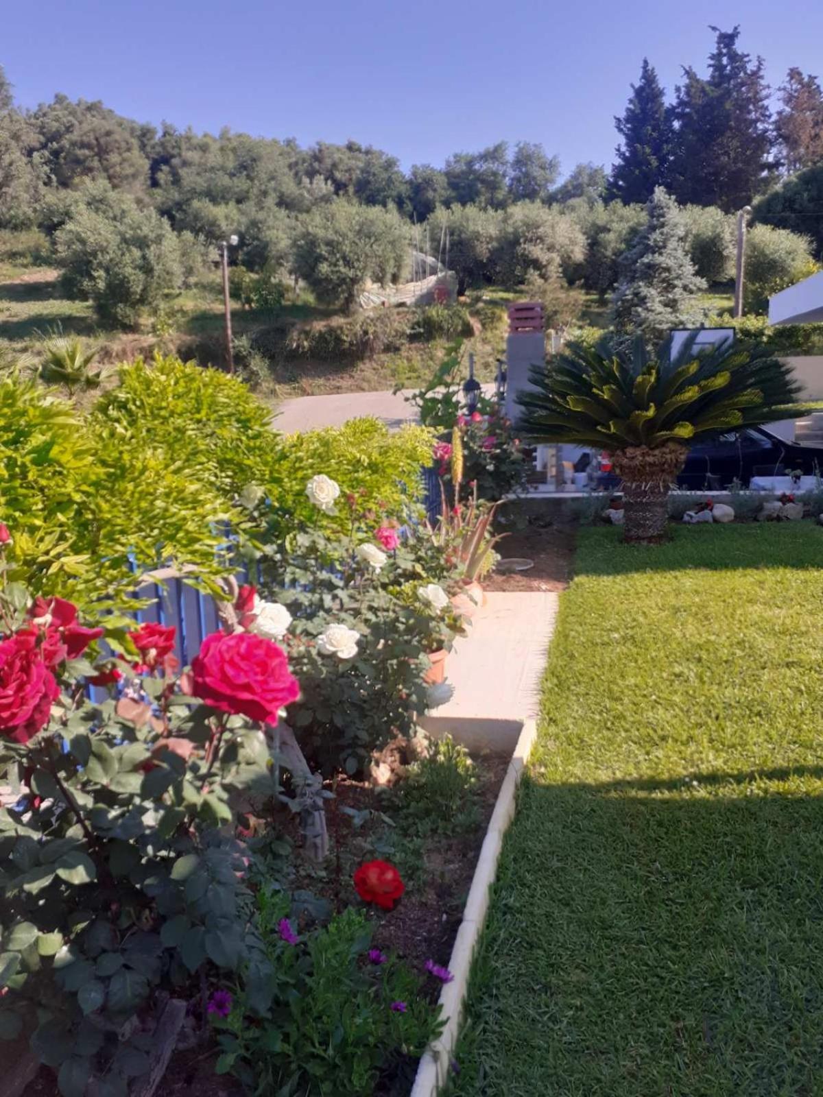 Villa Simos' Sea View House Nikopolis Exterior foto
